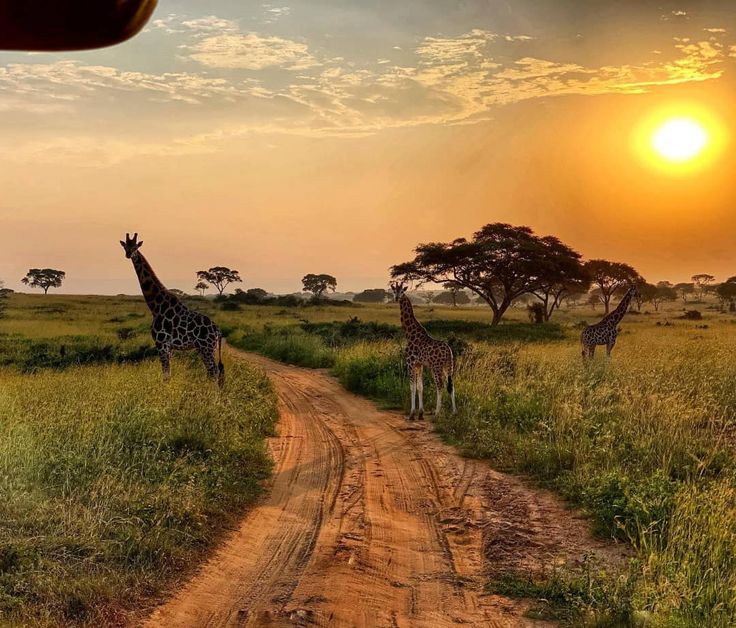 3-day-Murchison-Falls-Itinerary